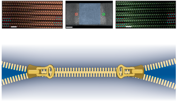 image-20250304091545-1