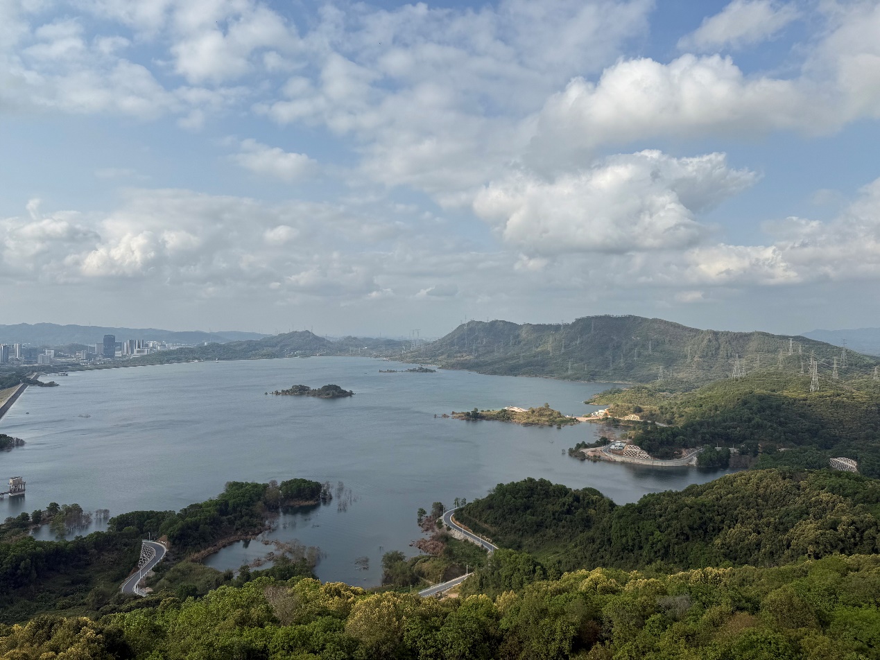 image-20250331150738-1